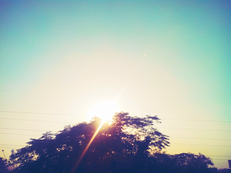 Sun Behind Trees — Blue, Serene