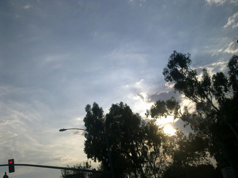 Sun Behind Trees — Blue