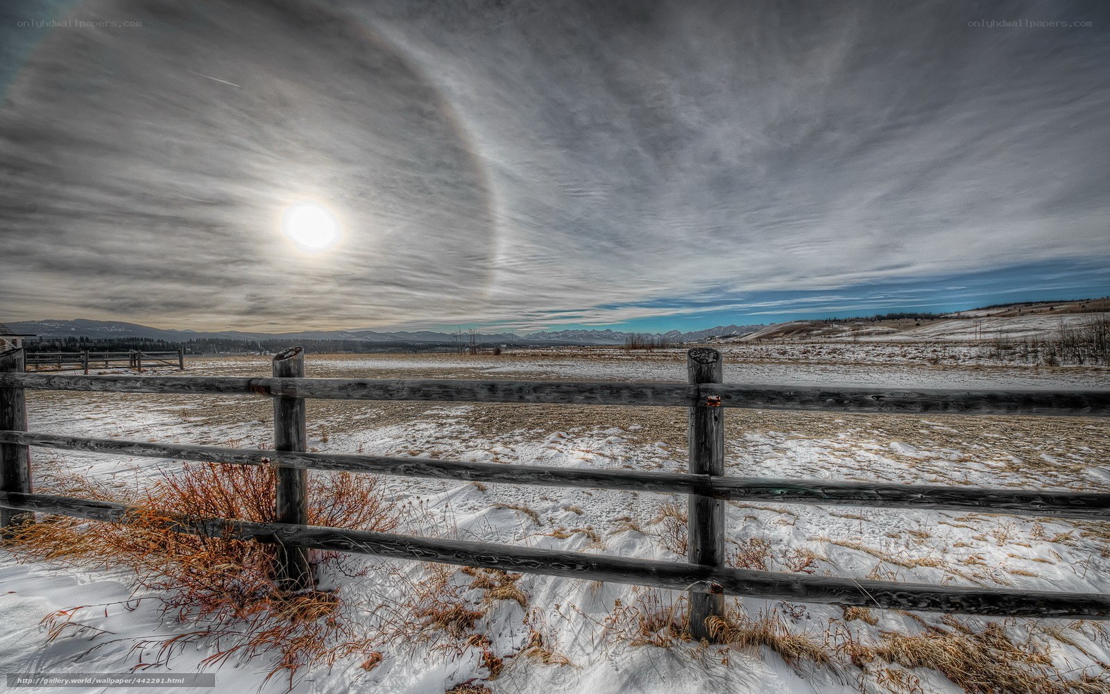 Sun halo over snowy field