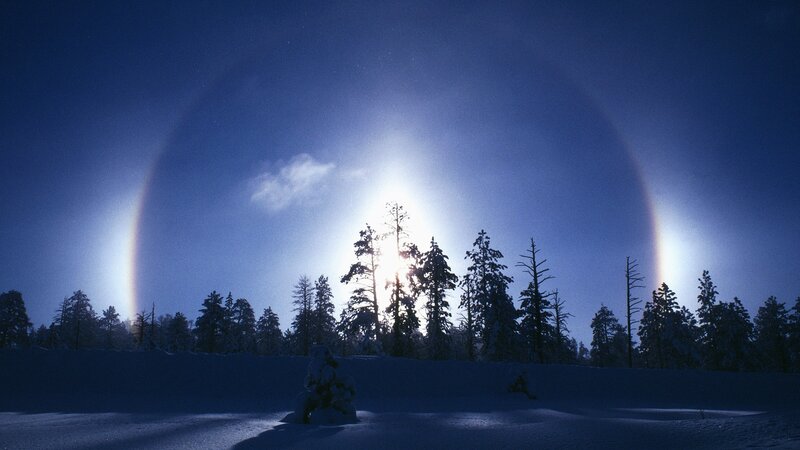 Sun halo over snowy forest