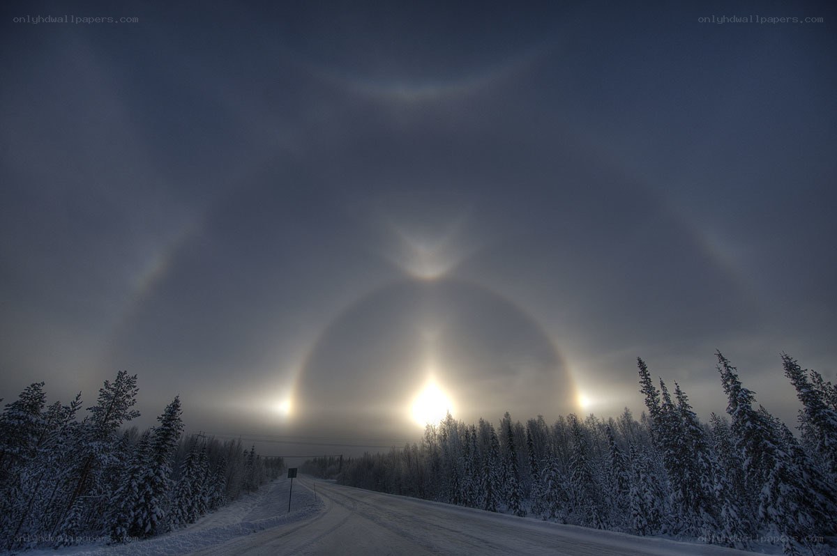 Sun halo over snowy forest