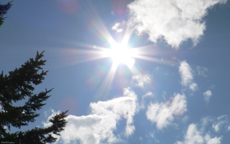 Sun in Blue Sky — Bright, Afternoon, Photograph, Clouds, Tree