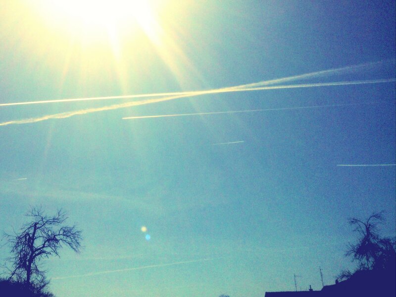 Sun in Blue Sky — Bright, Afternoon, Photograph, Clouds, Trees