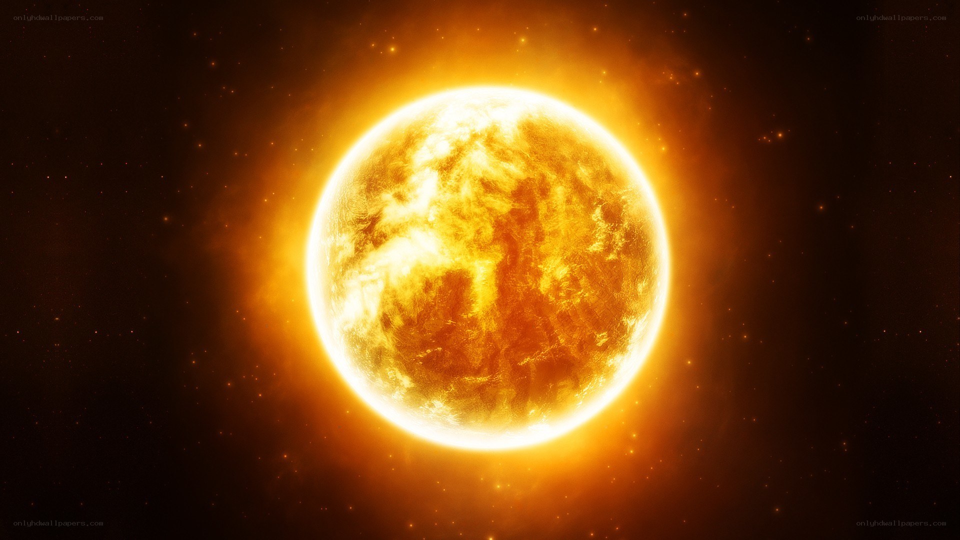 Sun in the cosmos