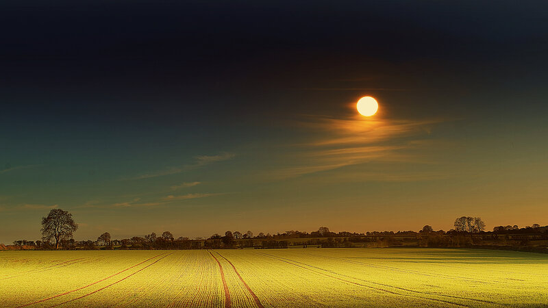 Sun over a Plowed Field