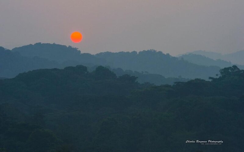 Sun over Forest Hills