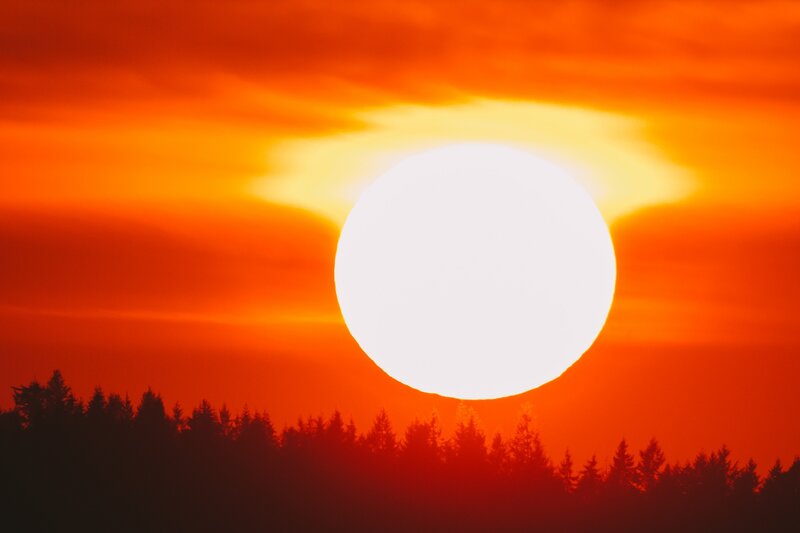Sun over Forest Silhouette