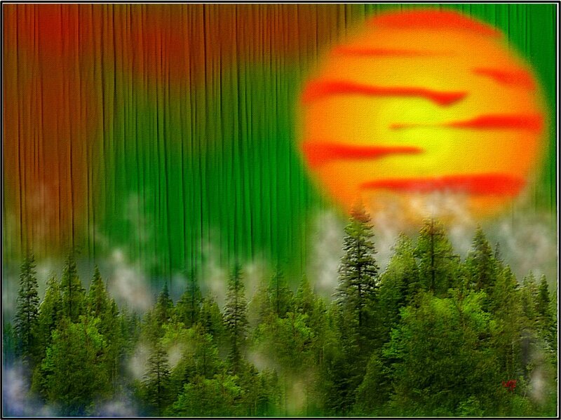 Sun over Forest