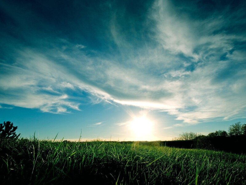 Sun over Grass Field