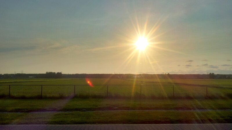 Sun over Green Fields