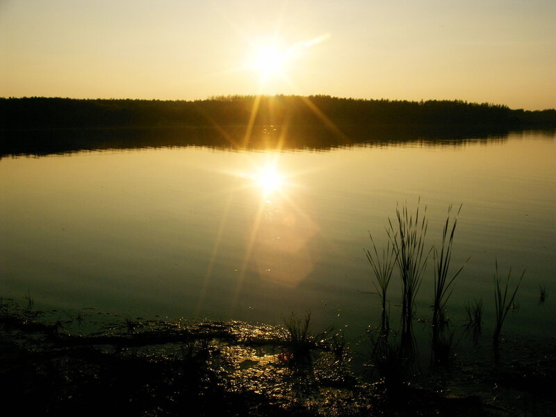 Sun over Lake — Gold