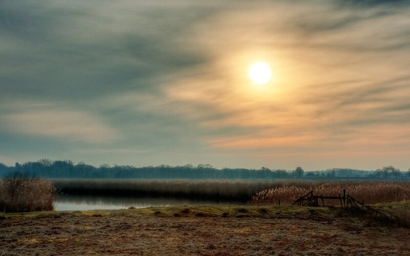 Sun over Marshland