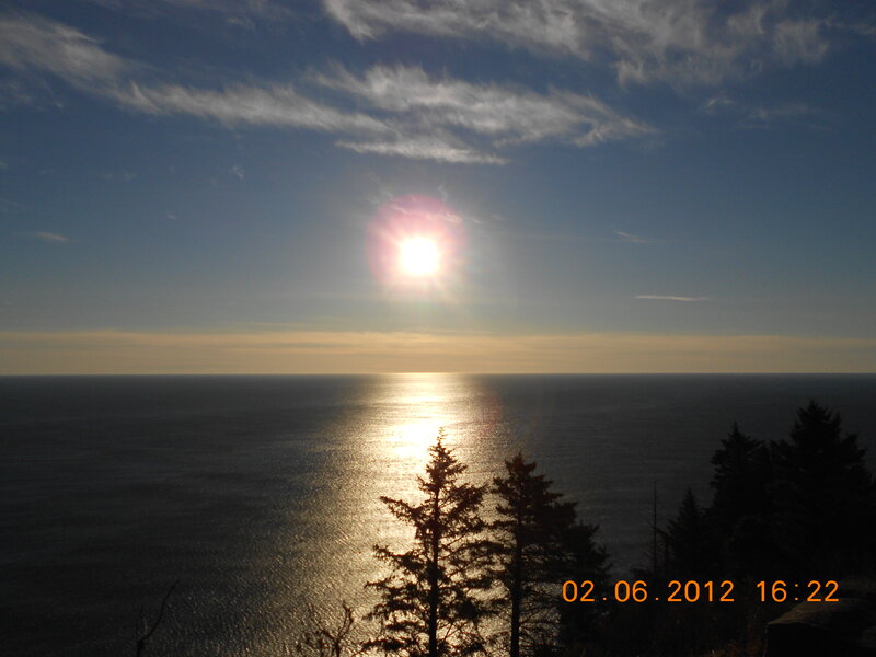 Sun over Ocean — Blue, Serene, Afternoon, Photograph, Trees
