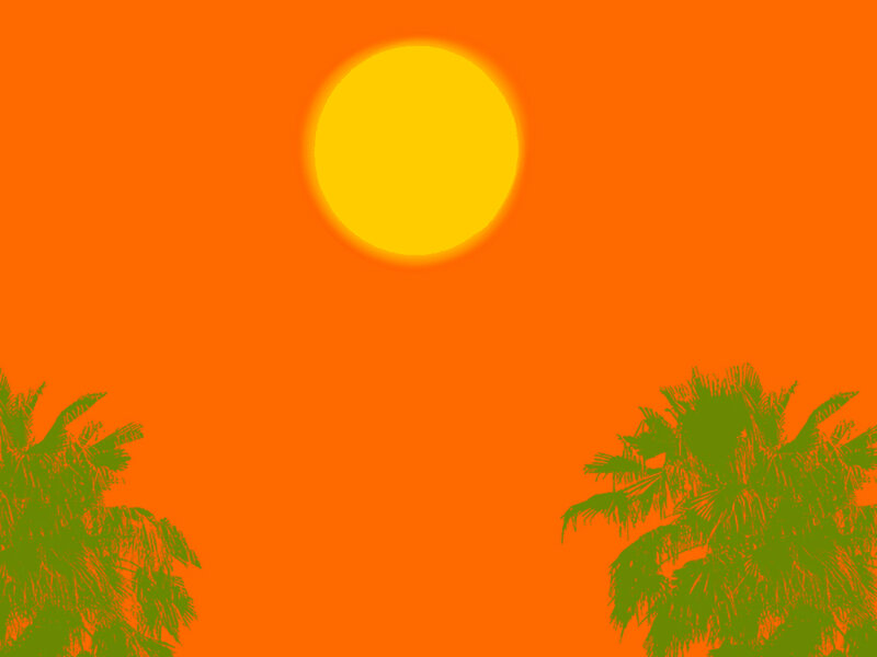 Sun over Palm Trees