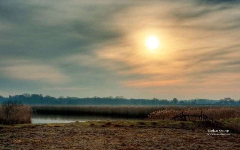 Sun over Wetland