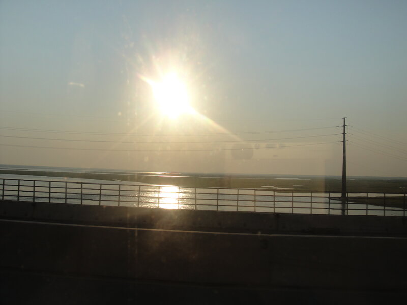 Sun over Wetlands