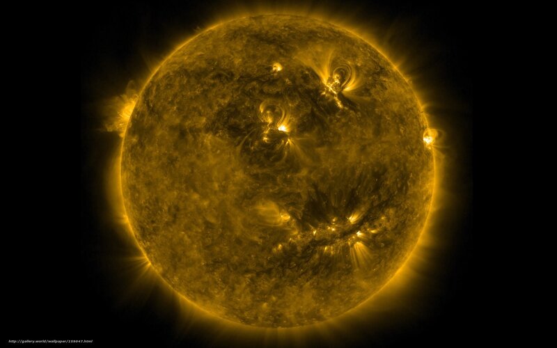 Sun's Active Surface