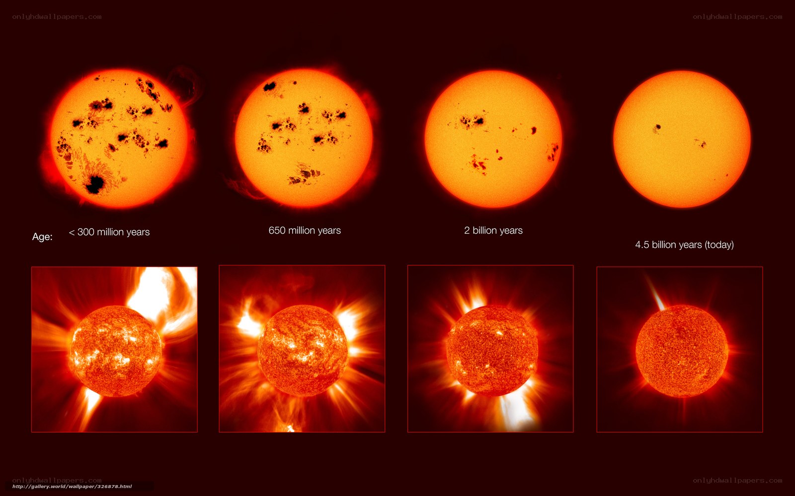 Sun's Life Stages
