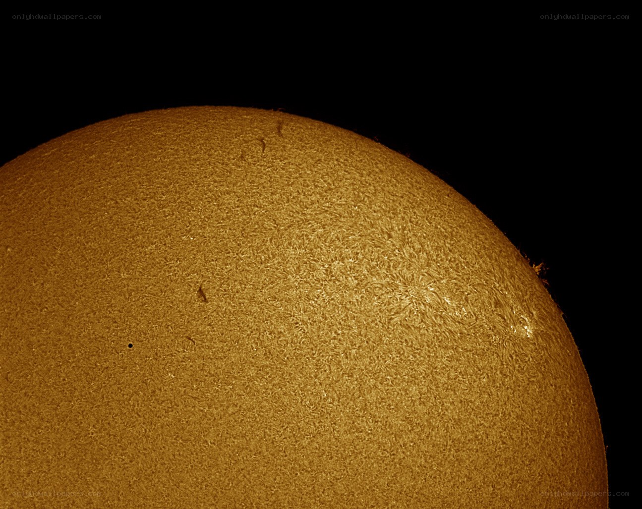 Sun's surface with granulation