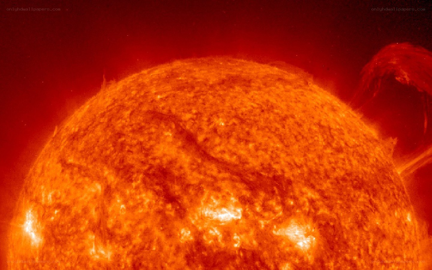 Sun's surface with solar flares