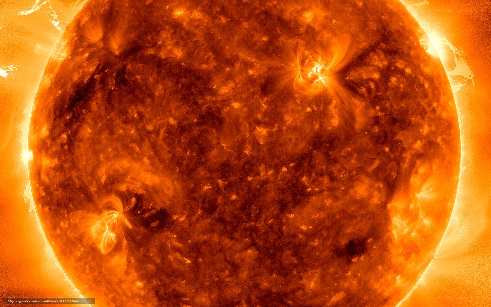 Sun's surface with solar flares