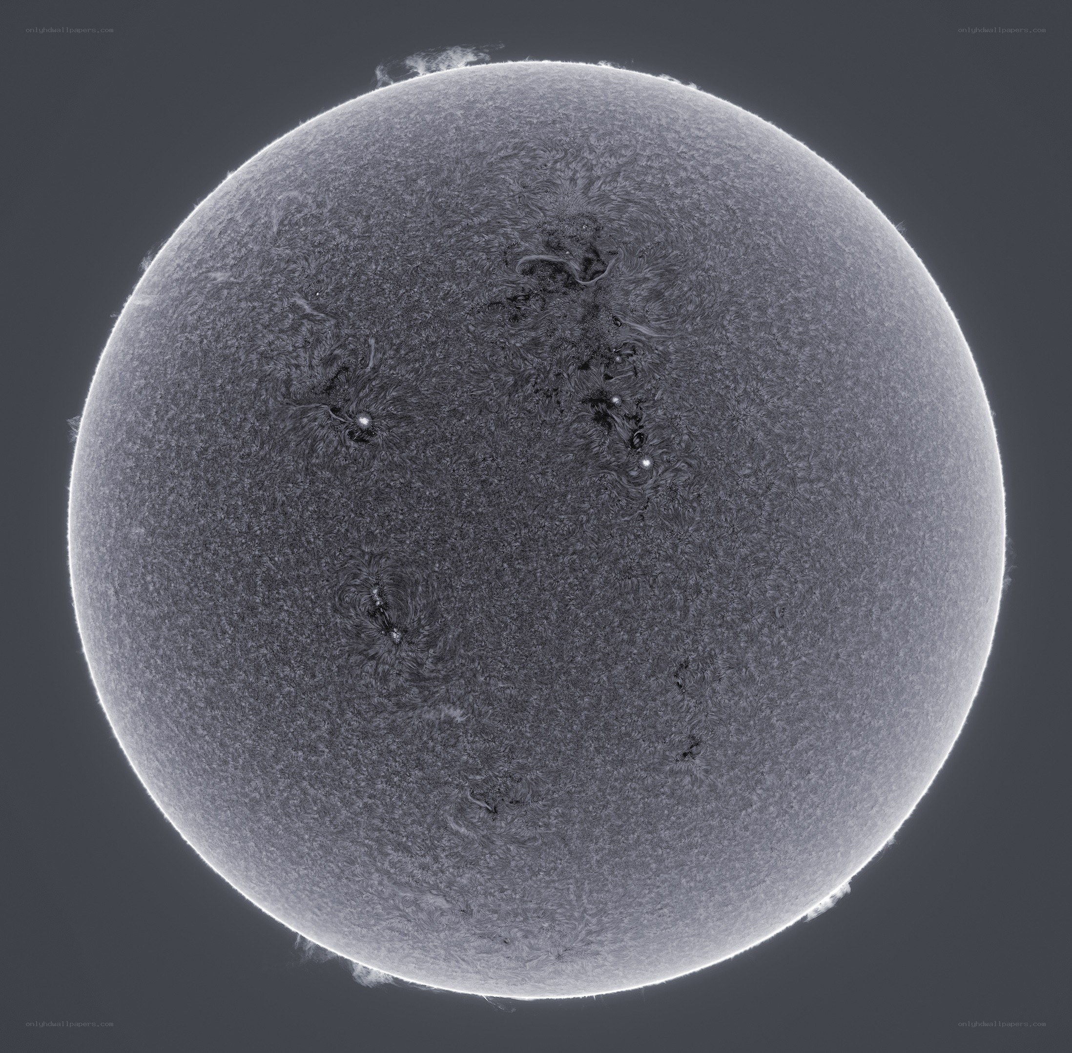 Sun's surface with sunspots