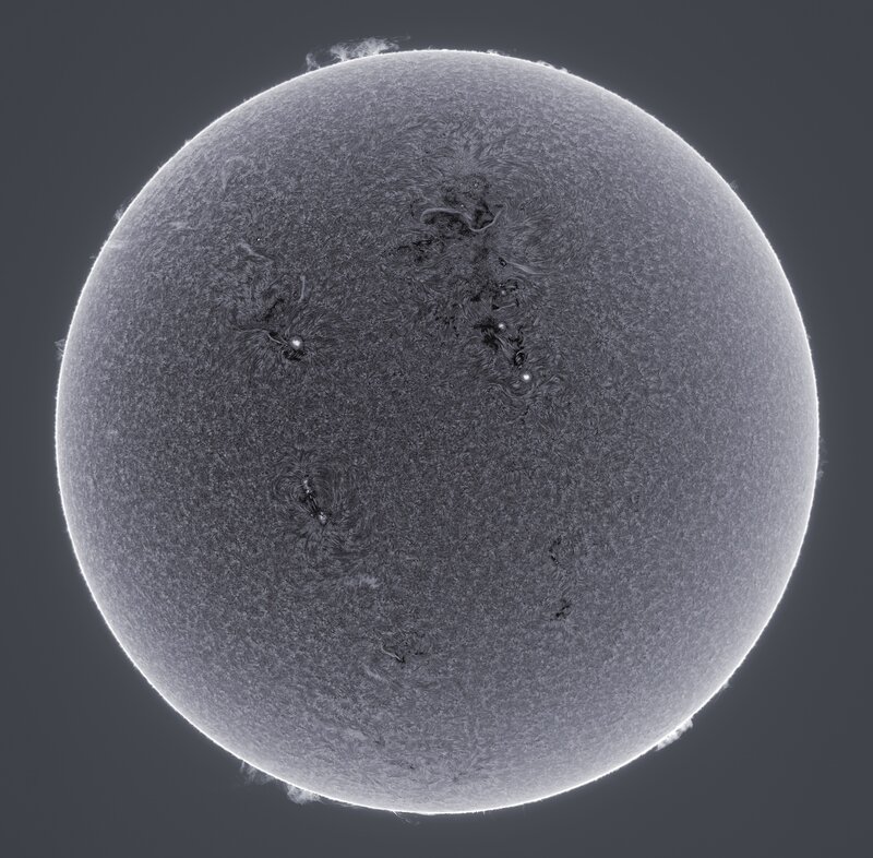 Sun's Surface with Sunspots — Gray