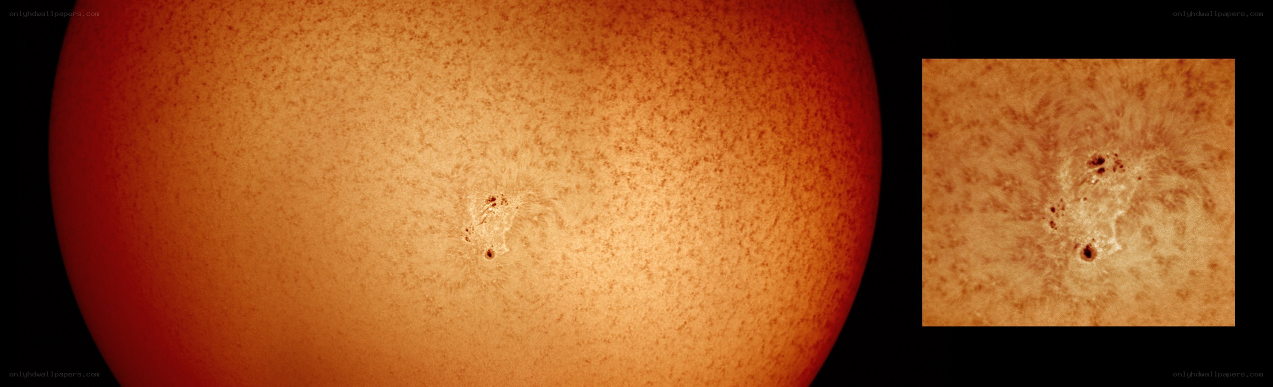 Sun's surface with sunspots