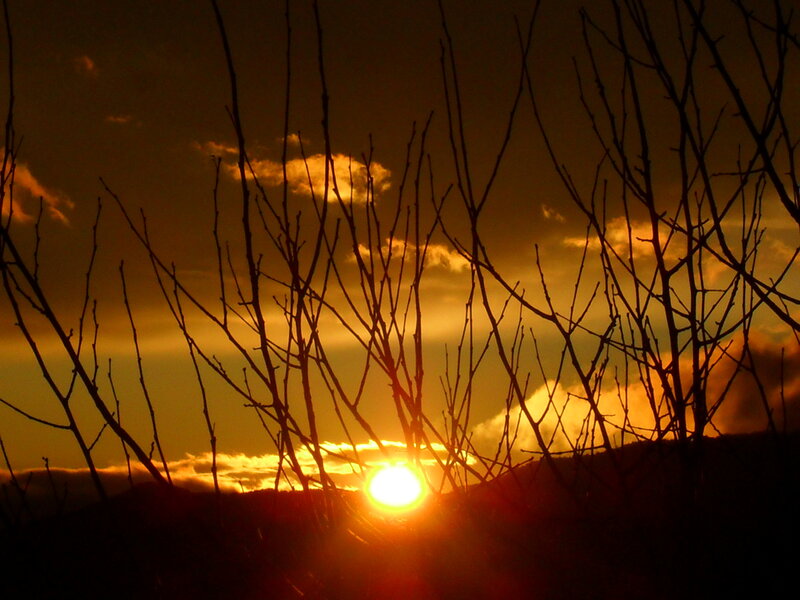 Sun Setting Behind Branches