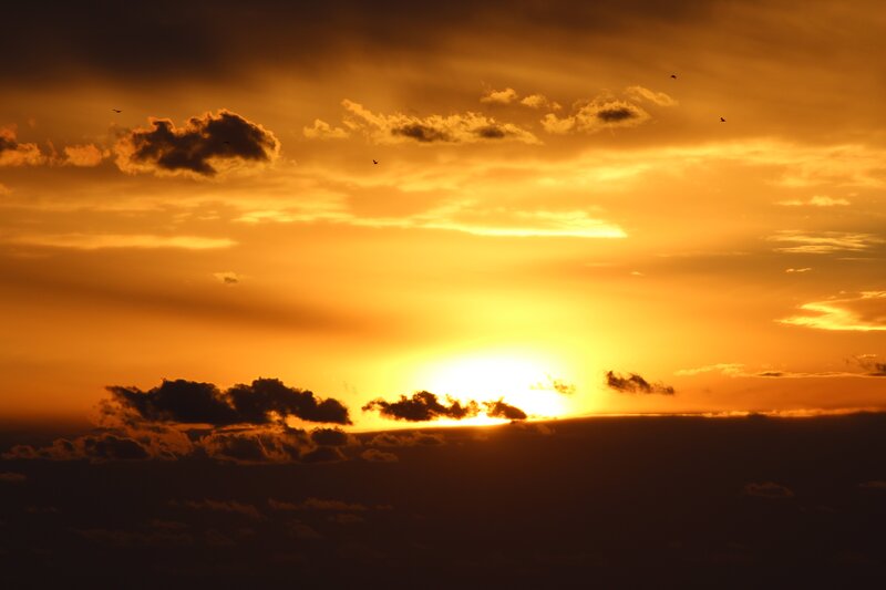 Sun Setting Behind Clouds — Orange, Dramatic, Sunset, Photograph, Birds
