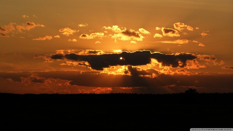 Sun Setting Behind Clouds — Orange, Dramatic, Sunset, Photograph, Horizon, Forest