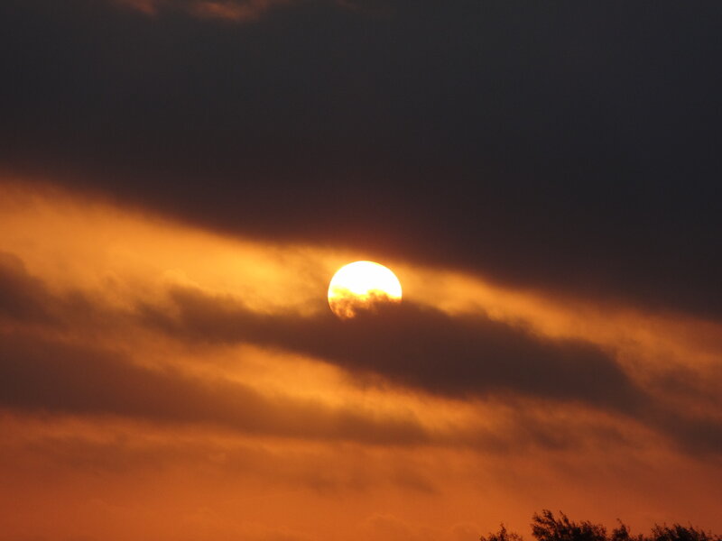 Sun Setting Behind Clouds — Orange, Dramatic, Sunset, Photograph, Sky, Trees
