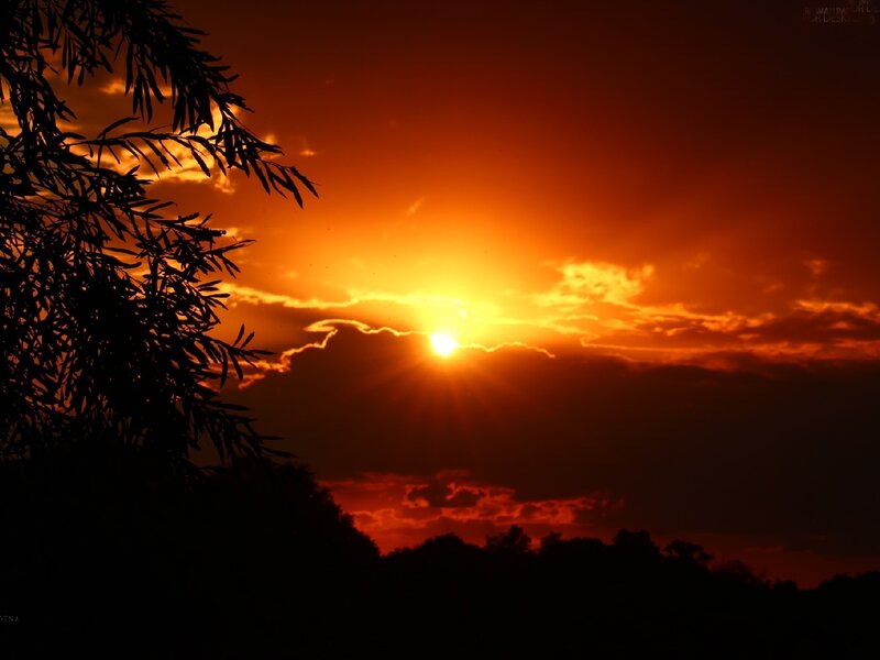Sun Setting Behind Clouds — Orange, Dramatic, Sunset, Photograph, Trees, Branches