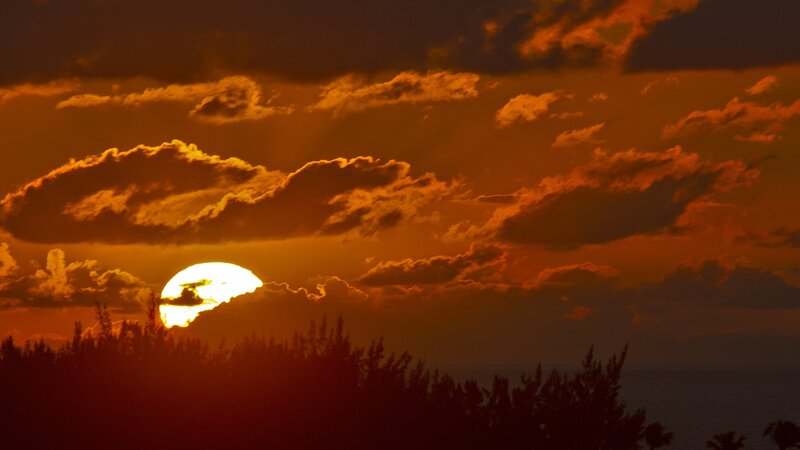 Sun Setting Behind Clouds — Orange, Dramatic, Sunset, Photograph, Trees, Ocean