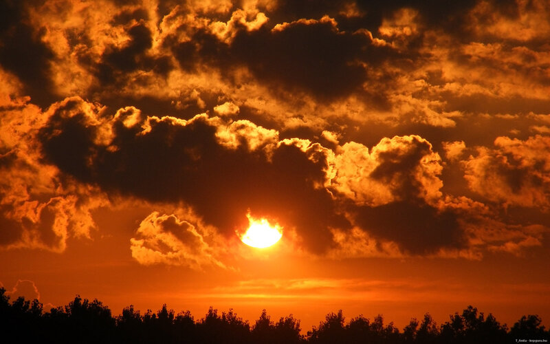 Sun Setting Behind Clouds — Orange, Dramatic, Sunset, Photograph, Trees, Sky