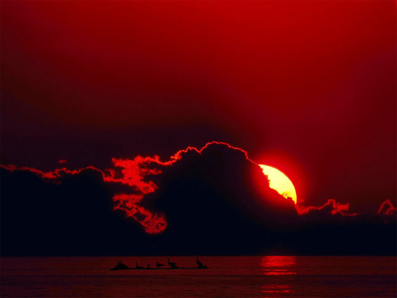 Sun Setting Behind Clouds — Red, Dramatic, Sunset, Photograph, Birds