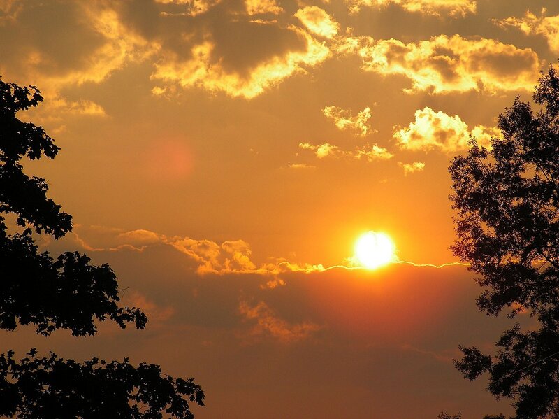 Sun Setting Behind Clouds — Trees