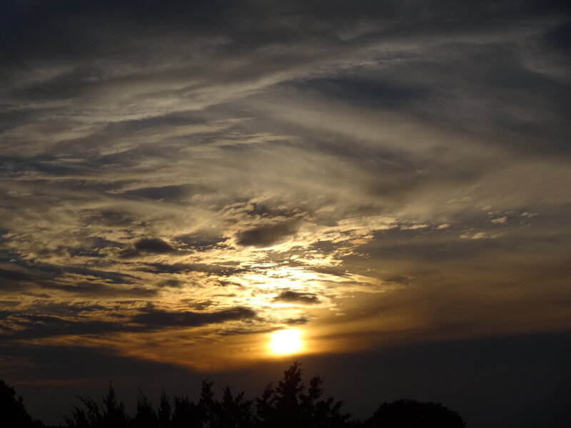 Sun Setting Behind Clouds — Yellow, Dramatic, Sunset, Photograph, Trees