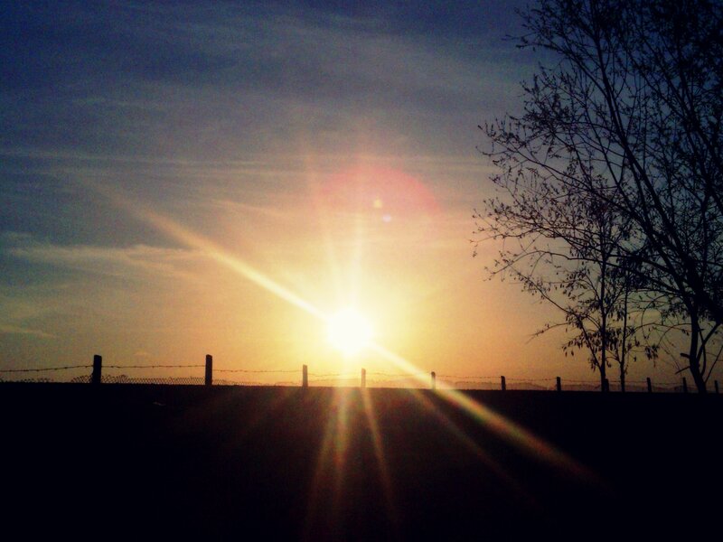 Sun Setting Behind Fence — Yellow