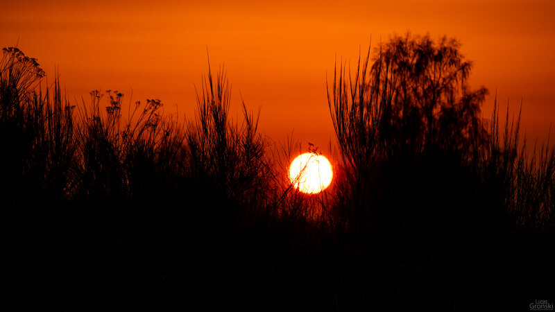 Sun Setting Behind Grass — Orange, Dramatic