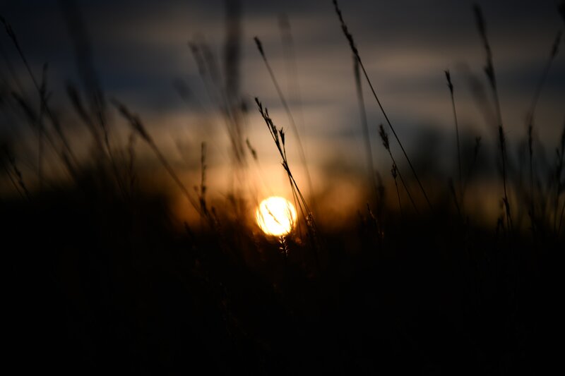 Sun Setting Behind Grass — Orange, Serene, Sunset
