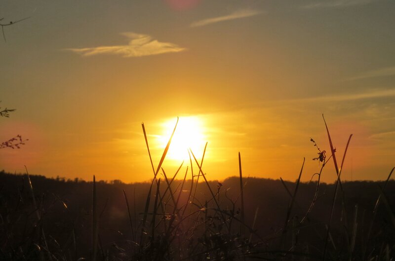 Sun Setting Behind Grass — Orange, Serene