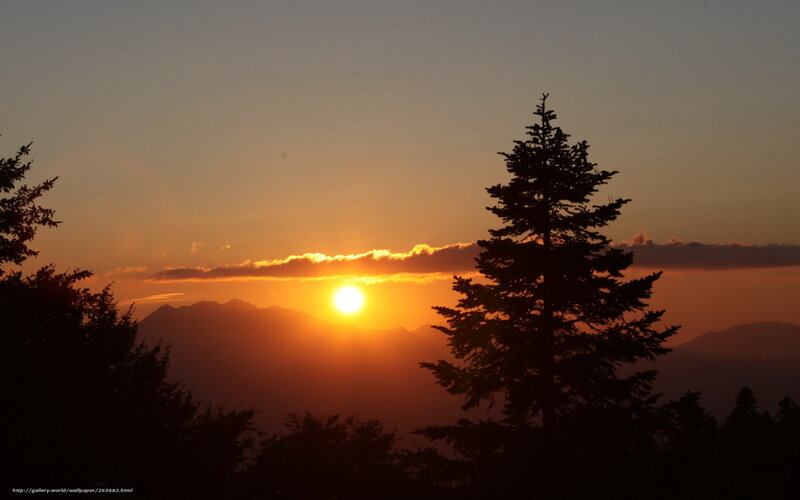 Sun Setting Behind Mountains — Orange, Serene, Sunset, Photograph, Trees