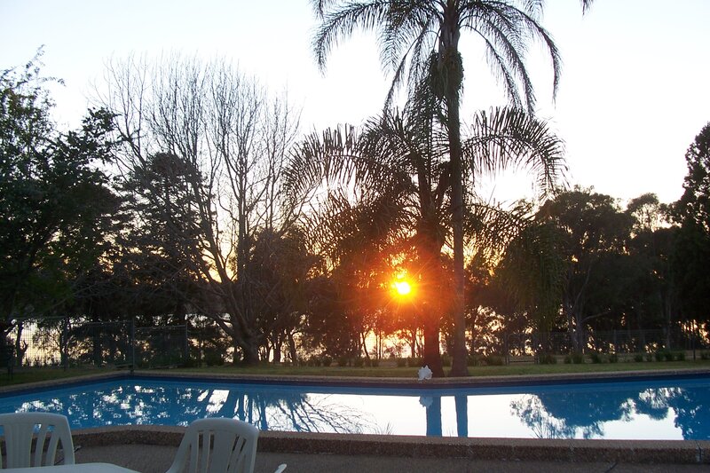 Sun Setting Behind Palm Tree