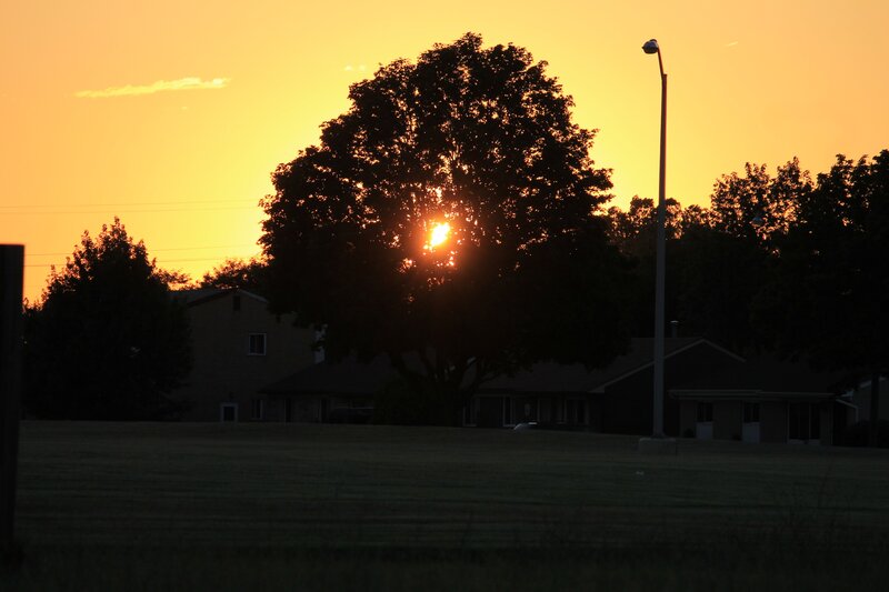 Sun Setting Behind Tree — Orange, Serene, Sunset, Photograph, House