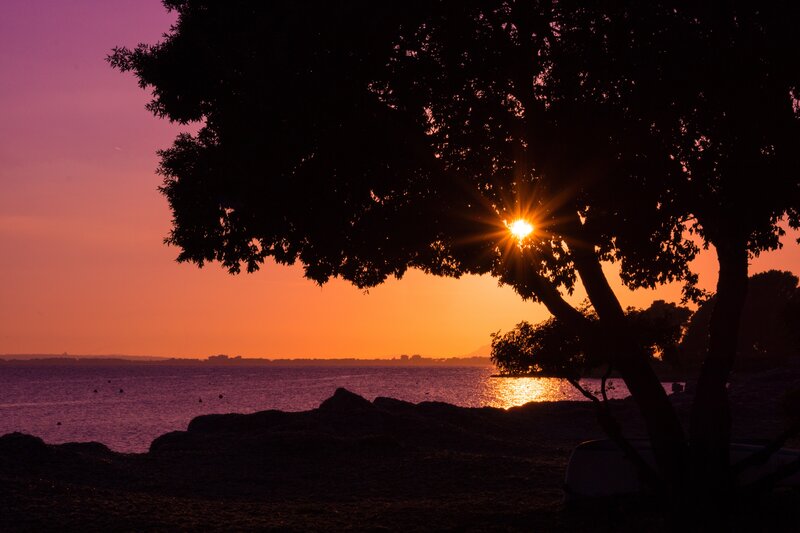 Sun Setting Behind Tree — Orange, Serene, Sunset