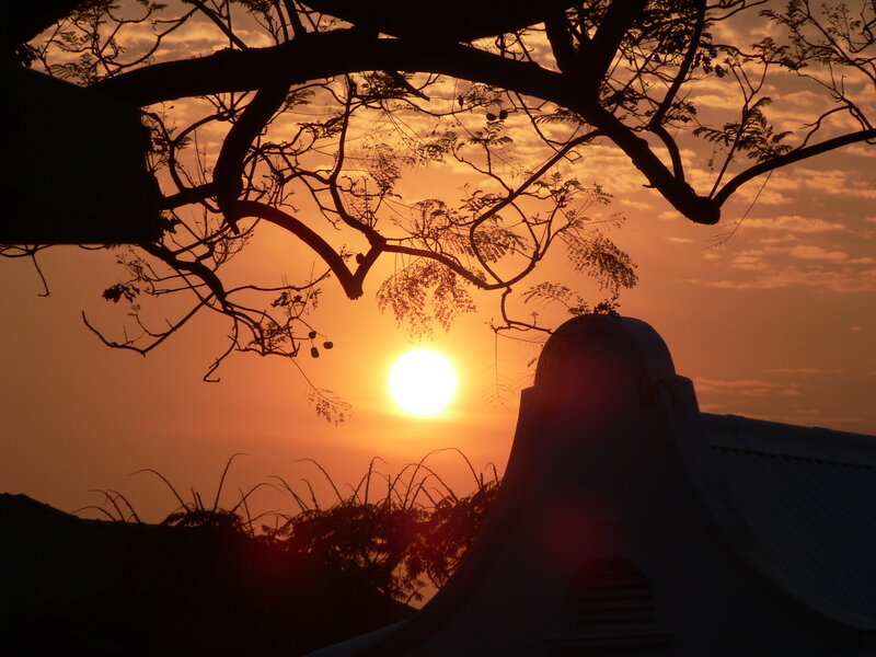 Sun Setting Behind Tree — Orange