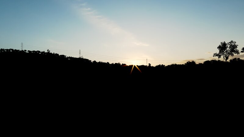 Sun Setting Behind Trees — Blue, Serene, Sunset, Photograph
