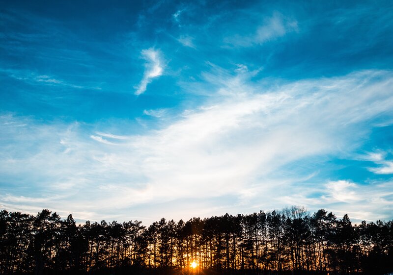 Sun Setting Behind Trees — Blue, Serene, Sunset