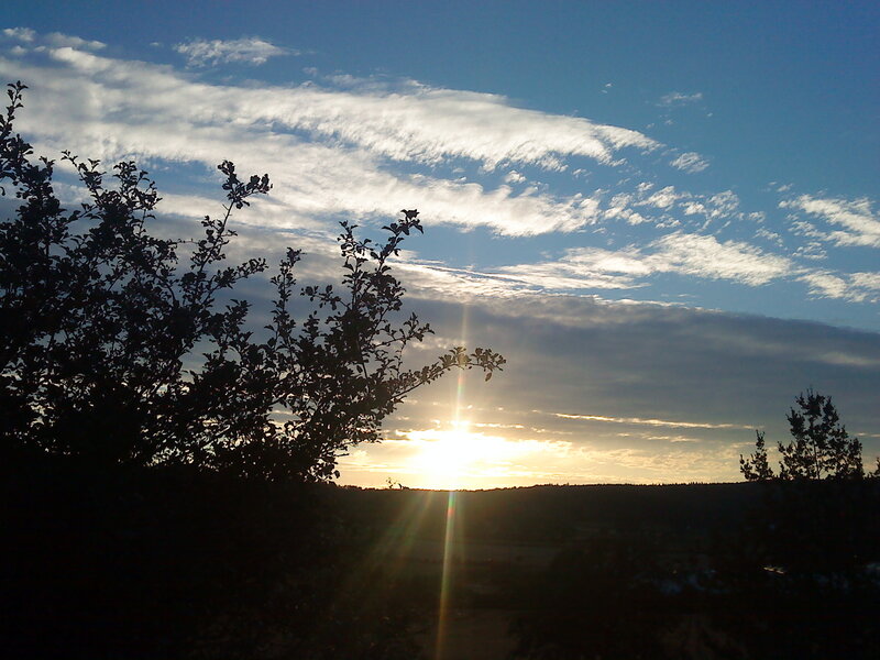 Sun Setting Behind Trees — Blue, Serene